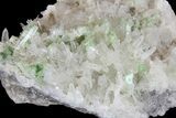 Green Augelite Crystals on Quartz - Peru #173384-2